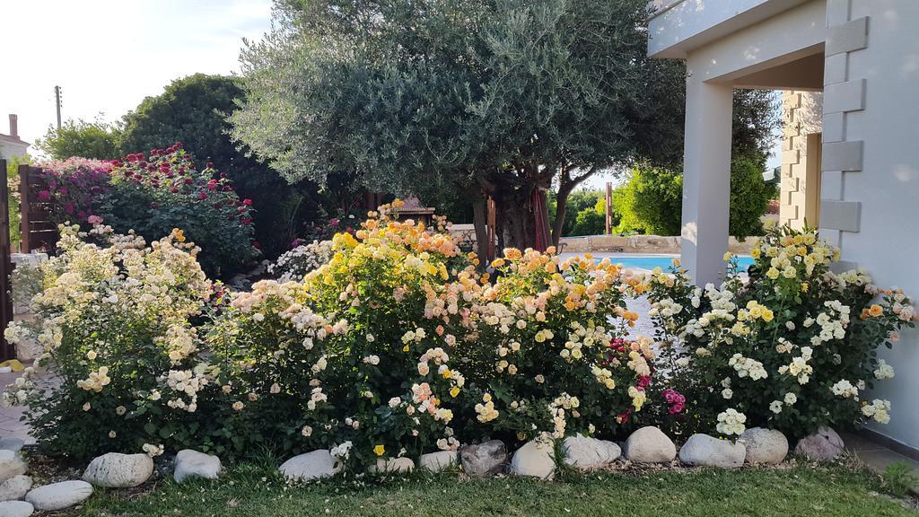 Jaime Villa Cyprus Argaka Exterior foto