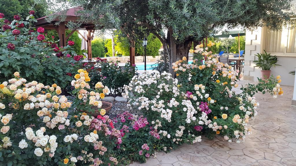Jaime Villa Cyprus Argaka Exterior foto